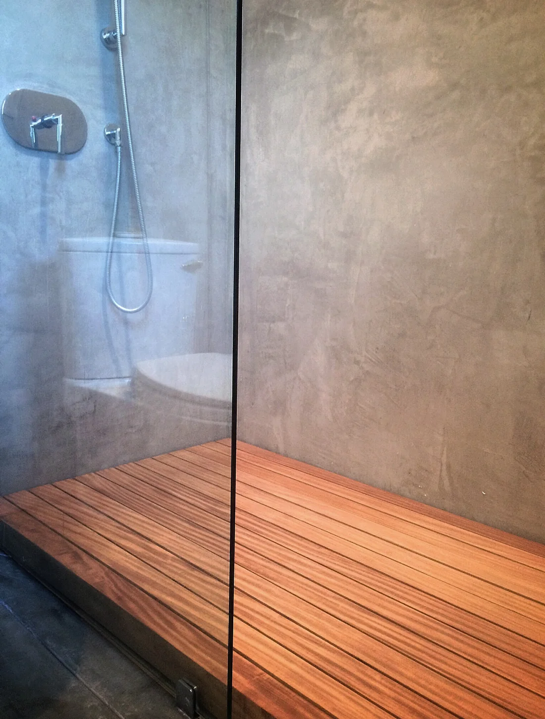 secondary bath downstairs / exposed platform