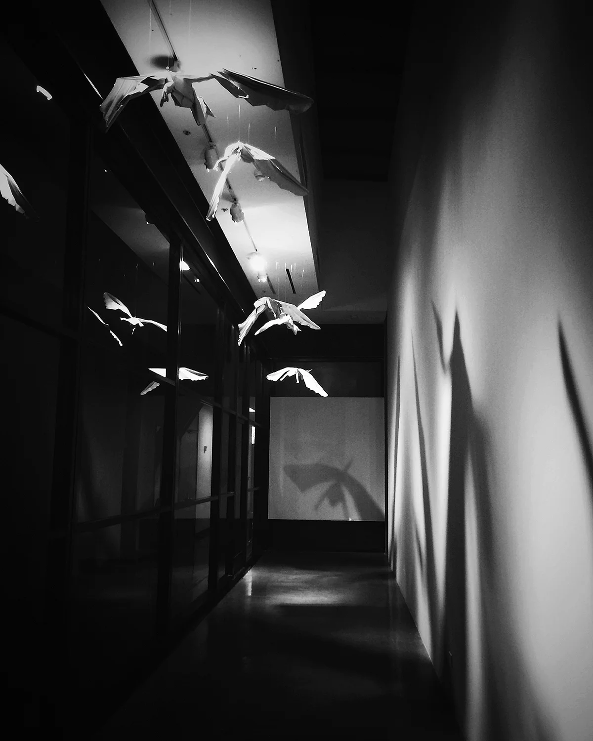 hallway installation