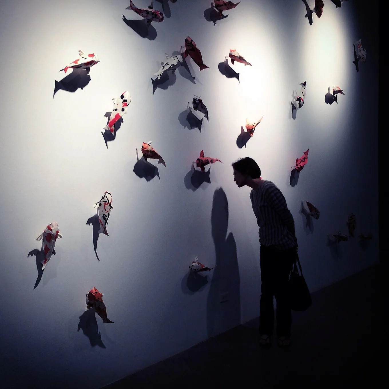 Folded: Origami at the Intersection of Art + Science