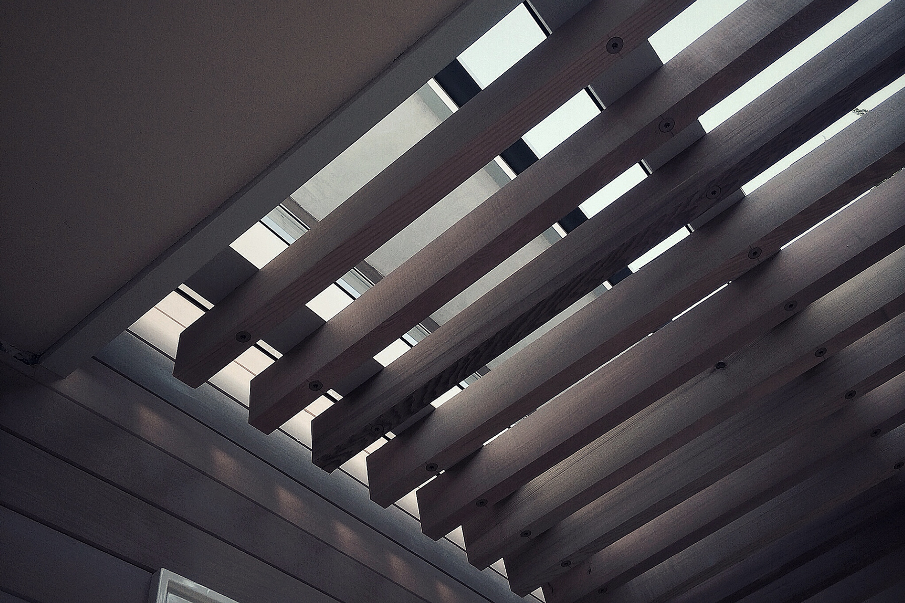 trellis detail