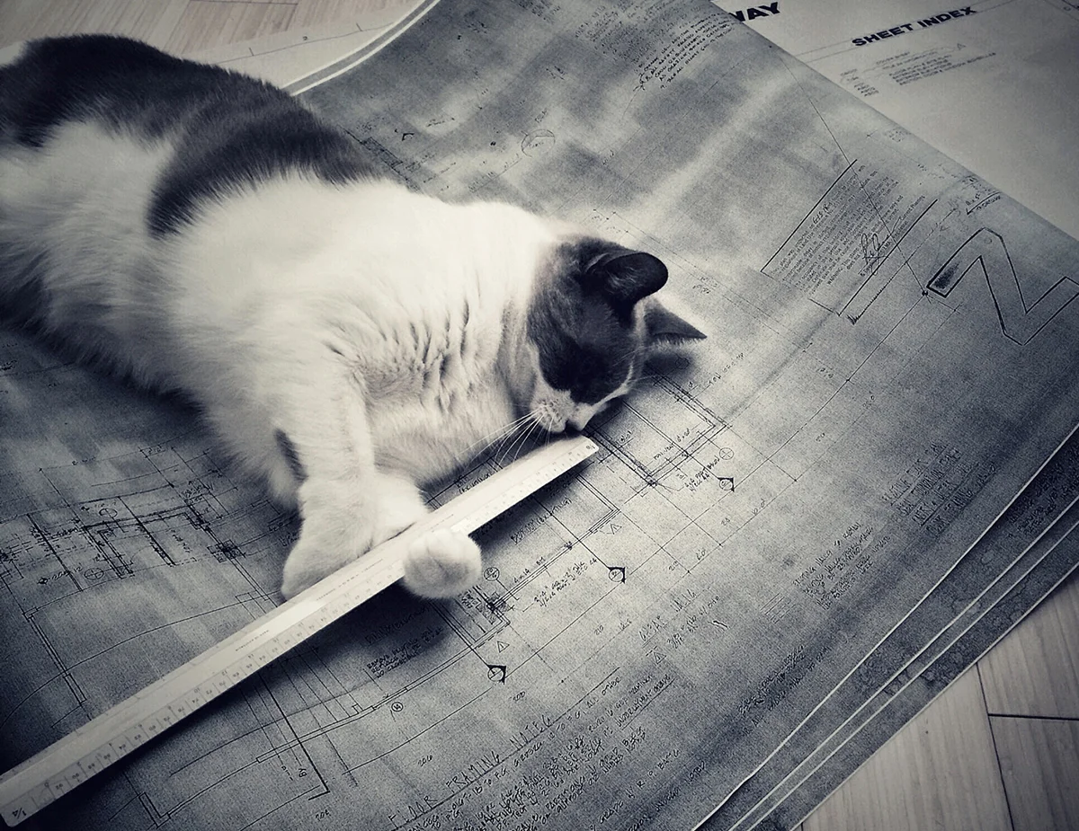 Cheers from our favorite plan checker