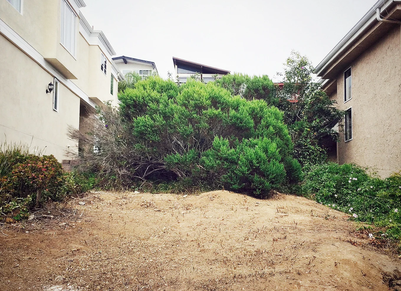 Watch this Space // New Construction in Arch Beach Heights