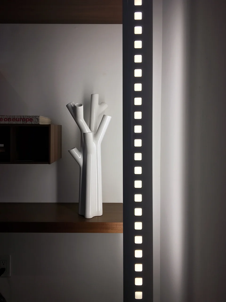 roseau vase / ligne roset