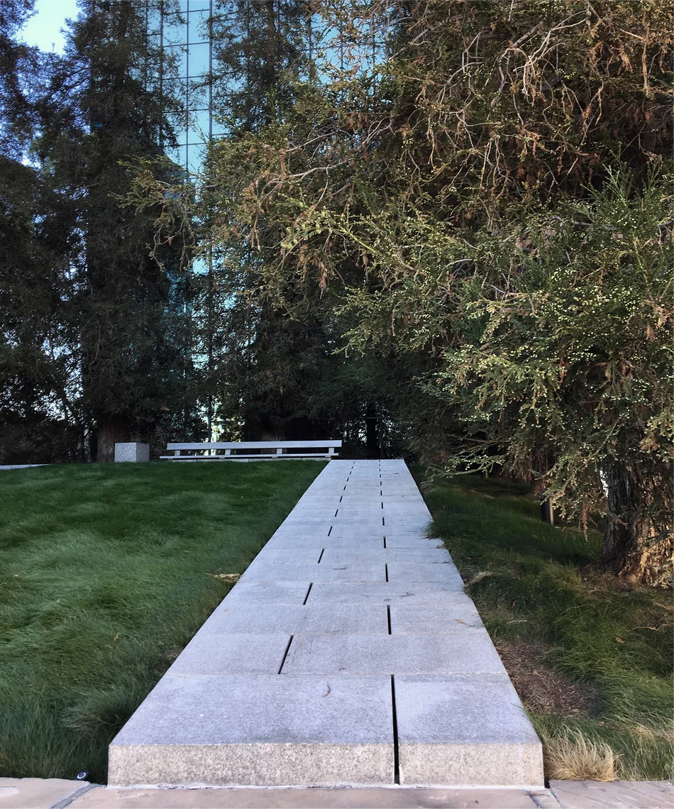 california scenario / forest walk detail