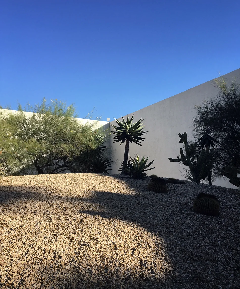 california scenario / desert land