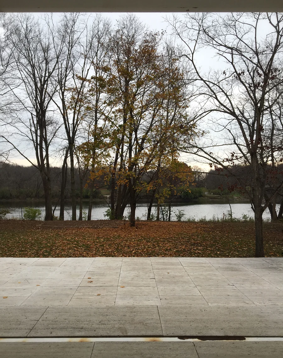 view from entry porch / fall at the farnsworth house