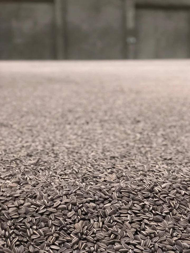seeds detail