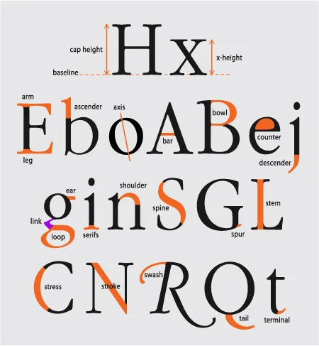 Typography 101: Everything You Need to Know!