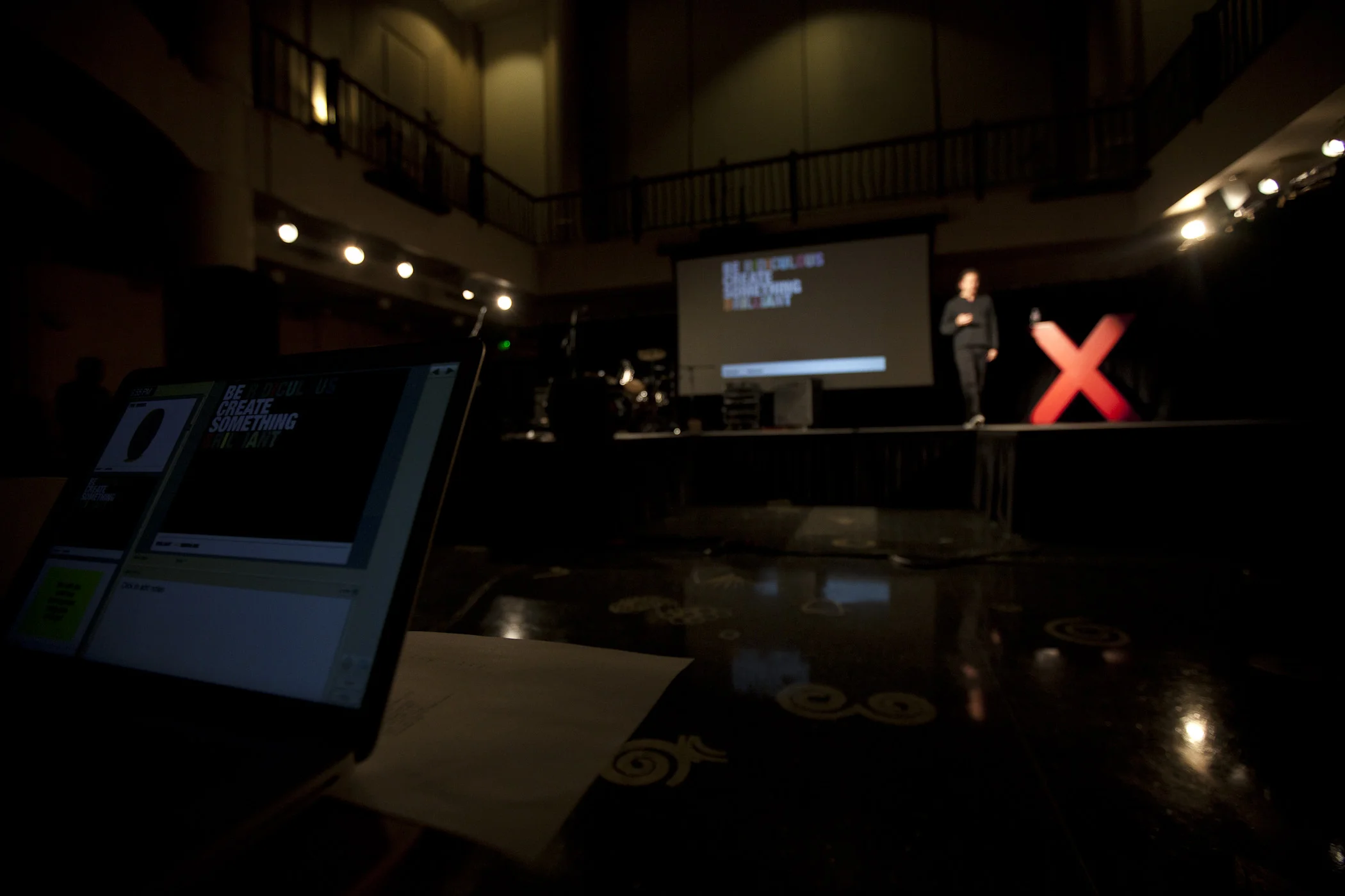 2010-TEDxSacramento-250.jpg