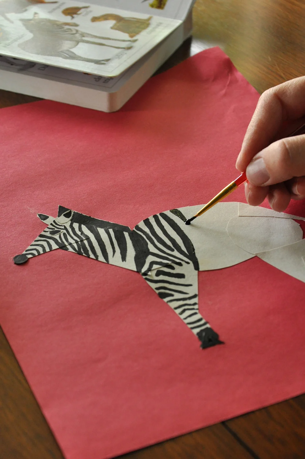 Zebra