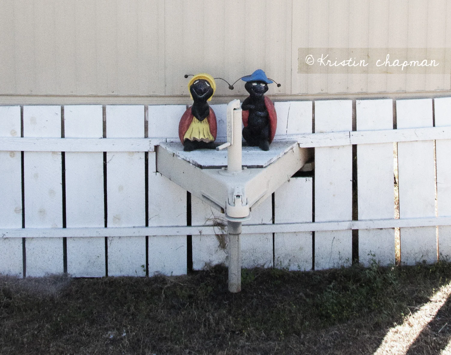 hitched bugs © Kristin Chapman 2015