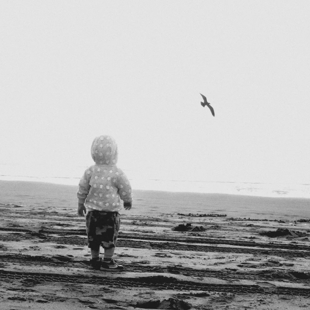 © kristin chapman 2015