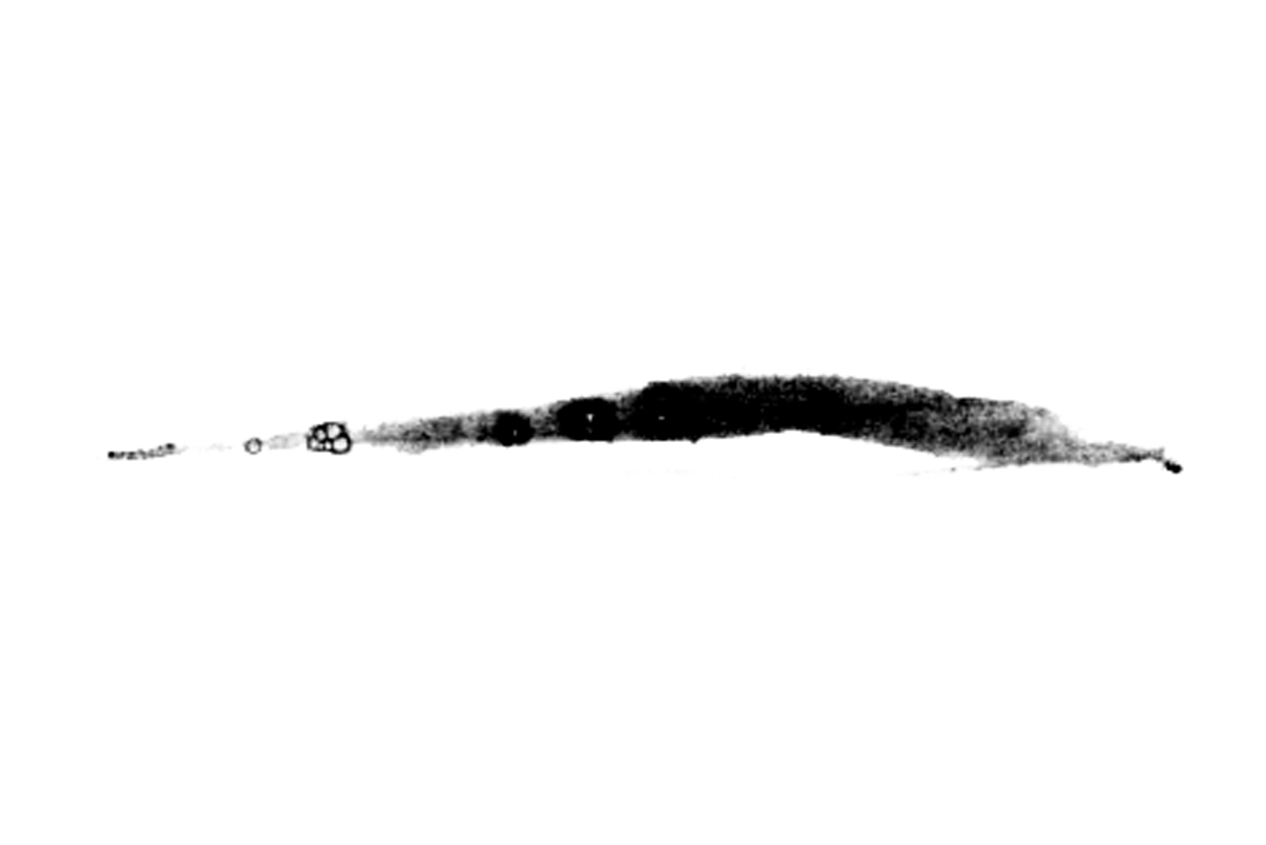 Mina No Ie (A Home For Everyone). This compilation was made in support of the residents of north-eastern Japan and came out one year after the tsunami that hit the coast on March 11th 2011. 12 Japanese electronic and experimental musicians have lent their support. The profits from the sale of the compilation were sent to the Kishin No Kai association via Japonaide.
