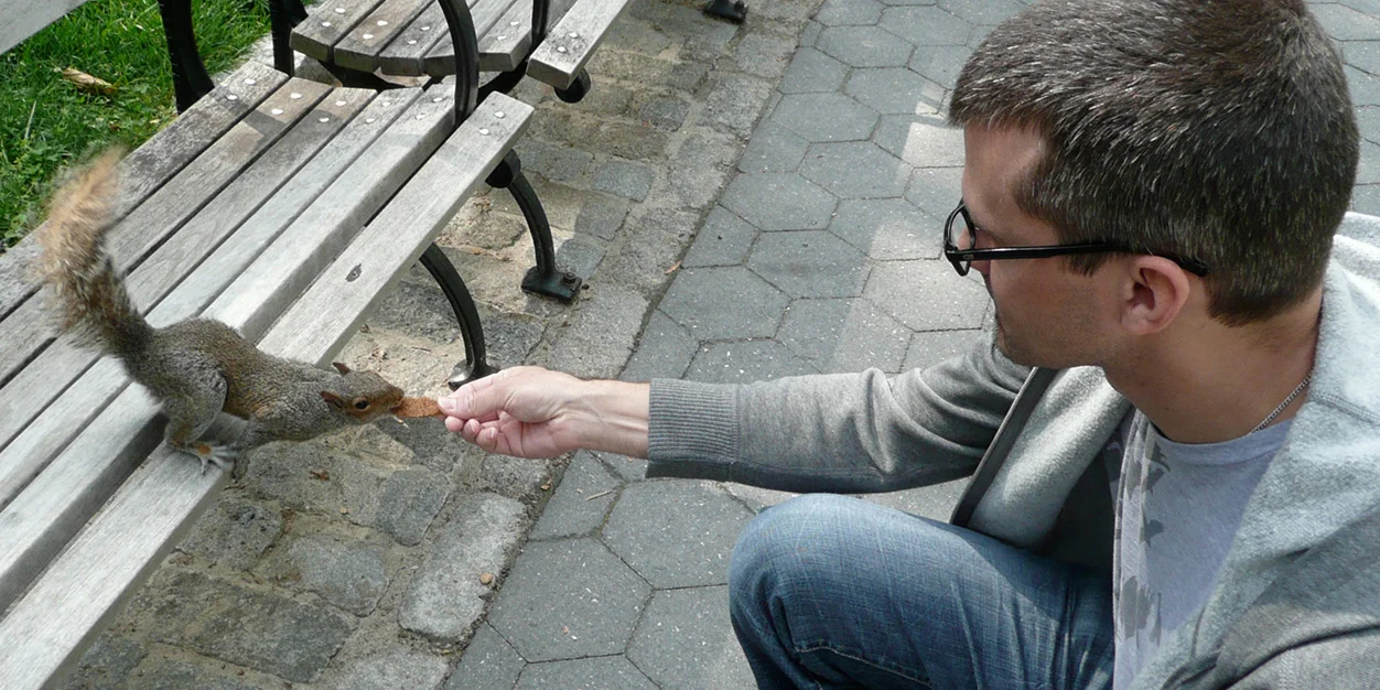 squirreltop-twitterbg.jpg