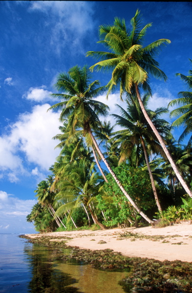 26Kosrae Walung Village_1.jpg