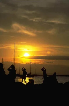 doanenativesunset.jpg