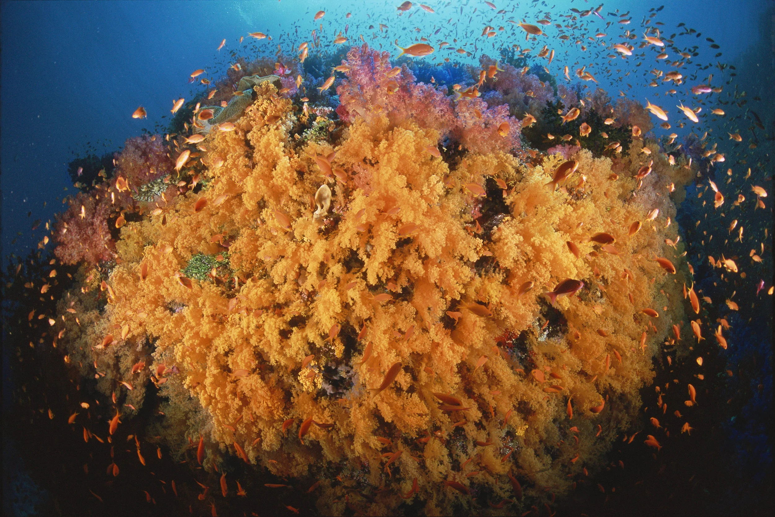 UnderWater_forBro.jpg