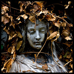 Transient