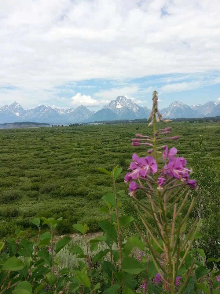west-tetons.jpg