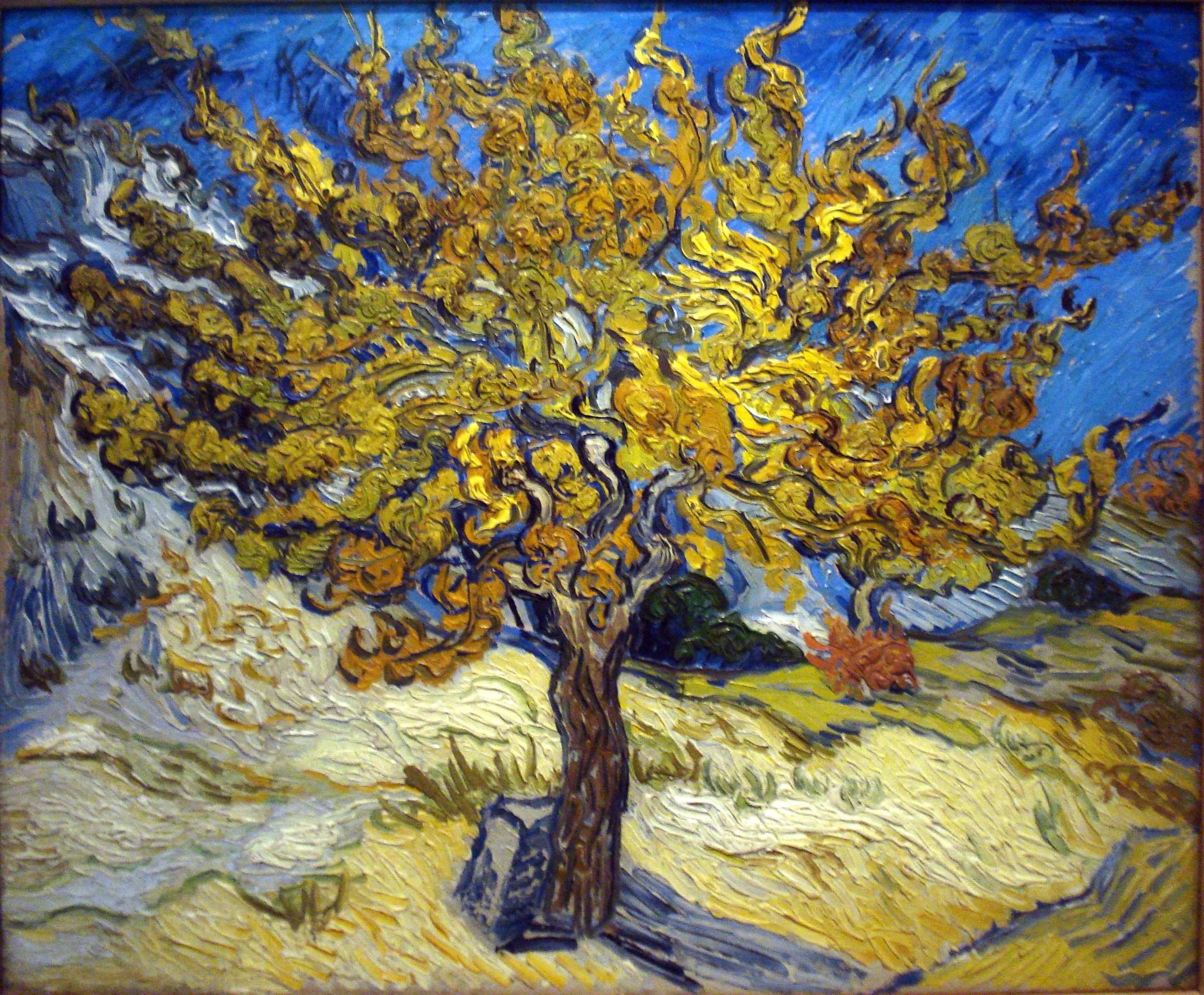 mullberry-tree.jpg