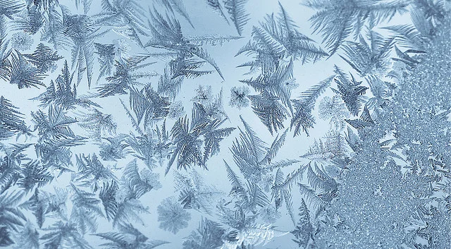 Sunday Superlatives 1/11/2015