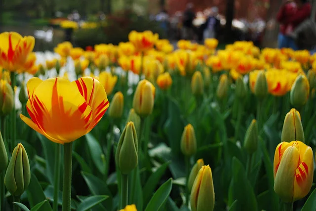 Spring Speaking Schedule