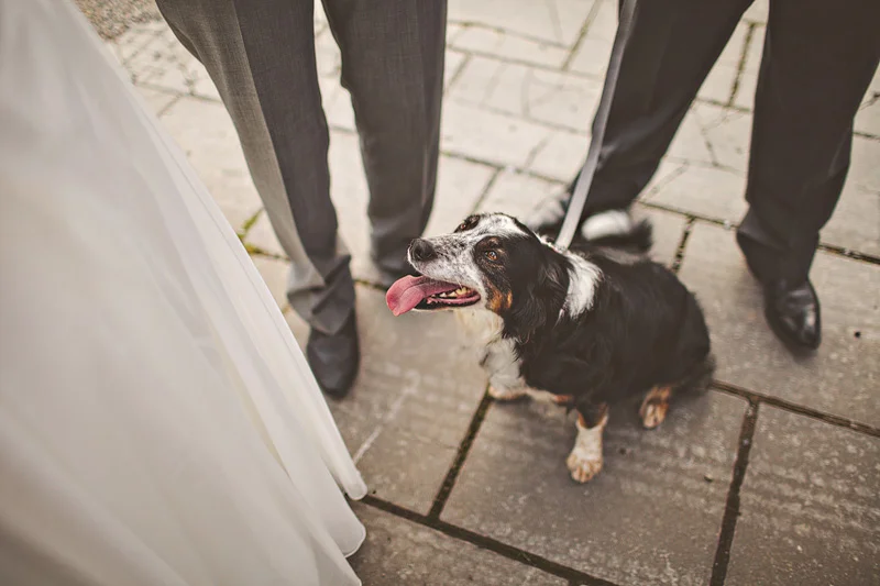 UK-Wedding-Photographers-015.jpg