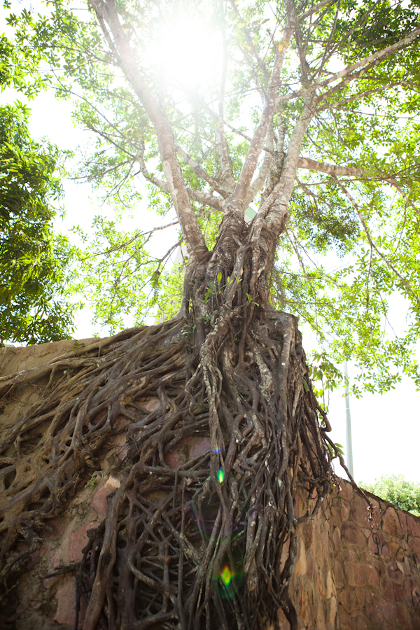 Brazil-Amazon-River-dc-20120901-3787.jpg