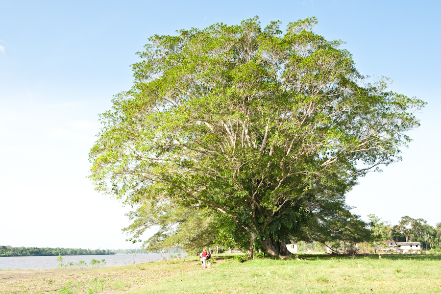 Brazil-Amazon-River-dc-20120905-4856.jpg