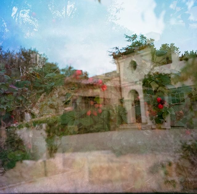 I&rsquo;m finally sorta getting the hang &mdash; maybe &mdash; of my #zeiss Ikoflex Ic #tlr. And yet, my favorite image so far was an accidental #doubleexposure of a raspberry bush and this gorgeous home. Everything about this camera and analog photo