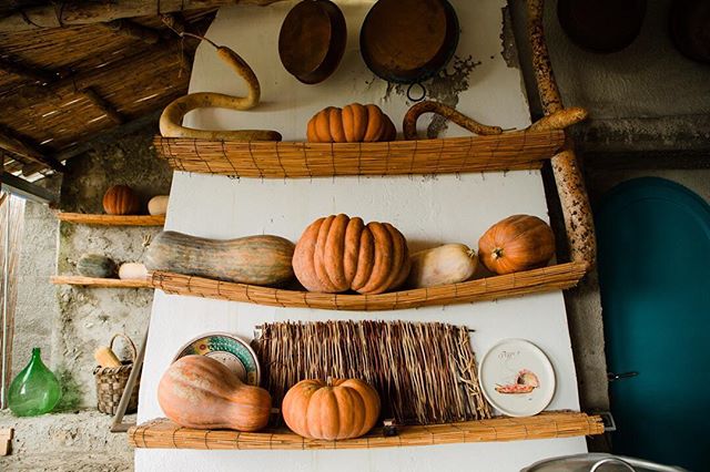 Memories of a rustic Italian October two years ago. They love #pumpkins as much as I do. #ravello #autumn