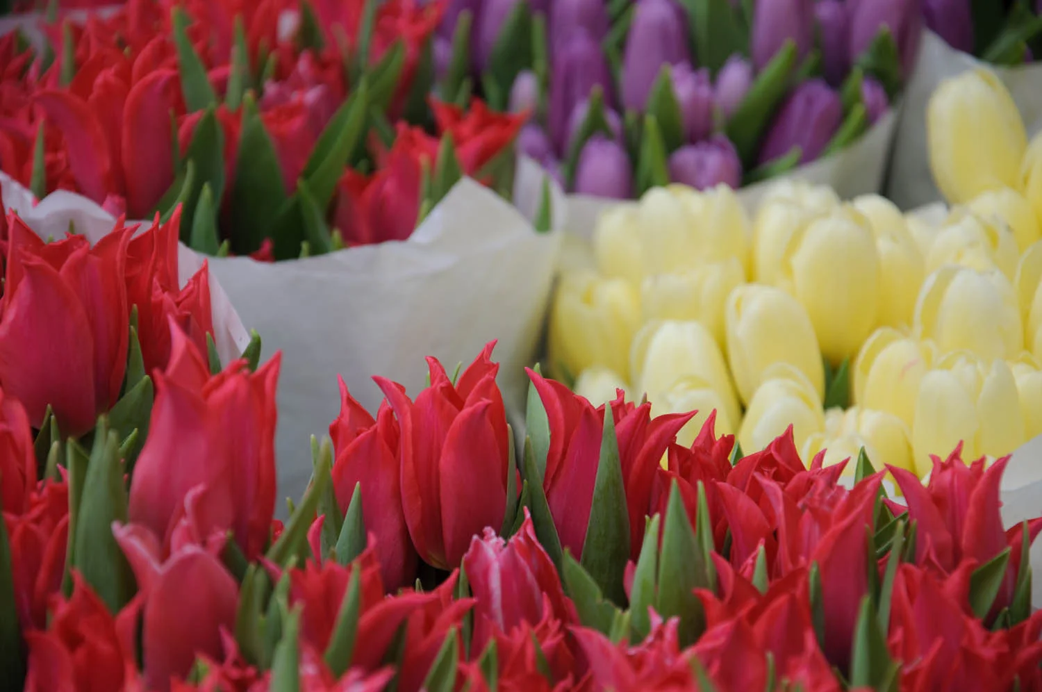 2010.04.07_Amsterdam Day Four_0042.jpg