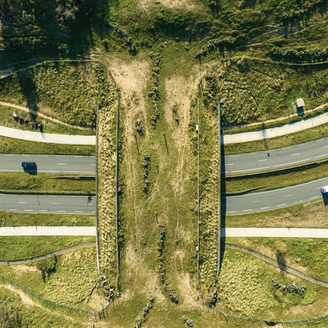 collectief-natuurinclusief-campagne-fotografie-dsgnd.jpg.jpg