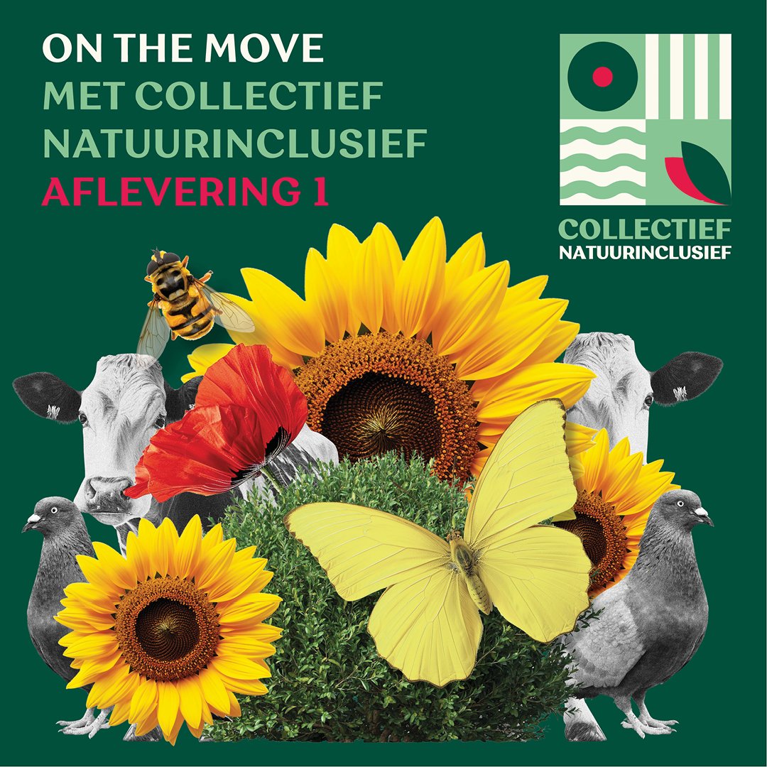 collectief-natuurinclusief-fotografie-dsgnd.jpg.jpg