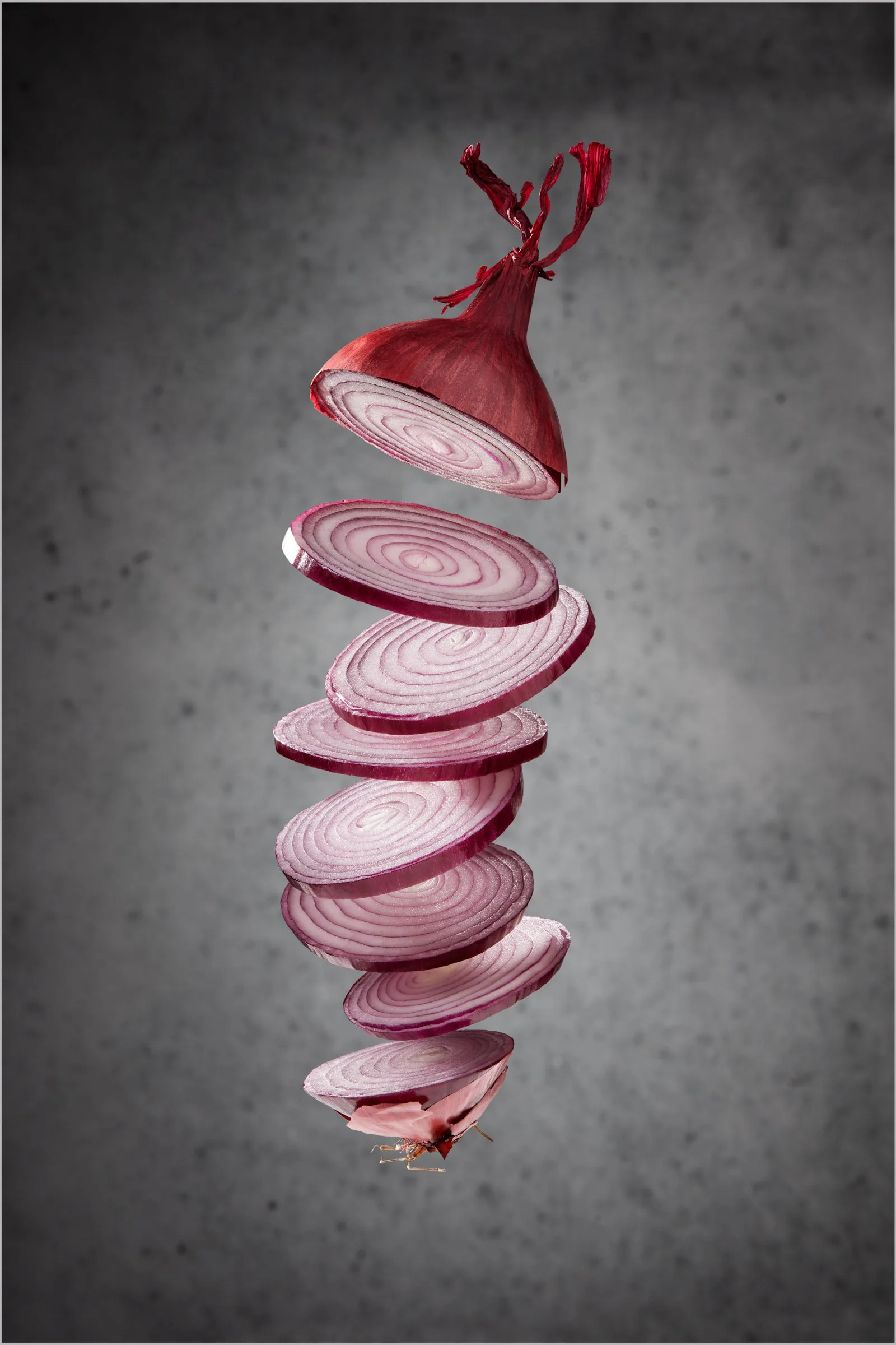 SU 149 Snijkunst Rode ui.jpeg