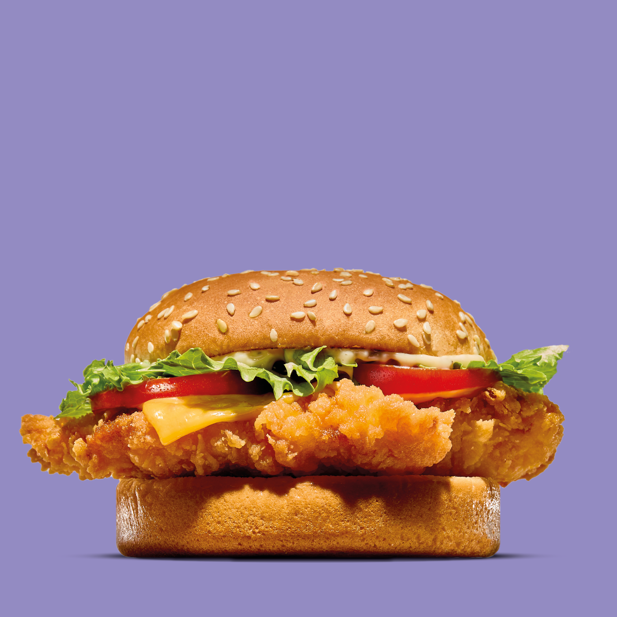HS 133 Hkiki Food beelden 2000x2000px paars2.png