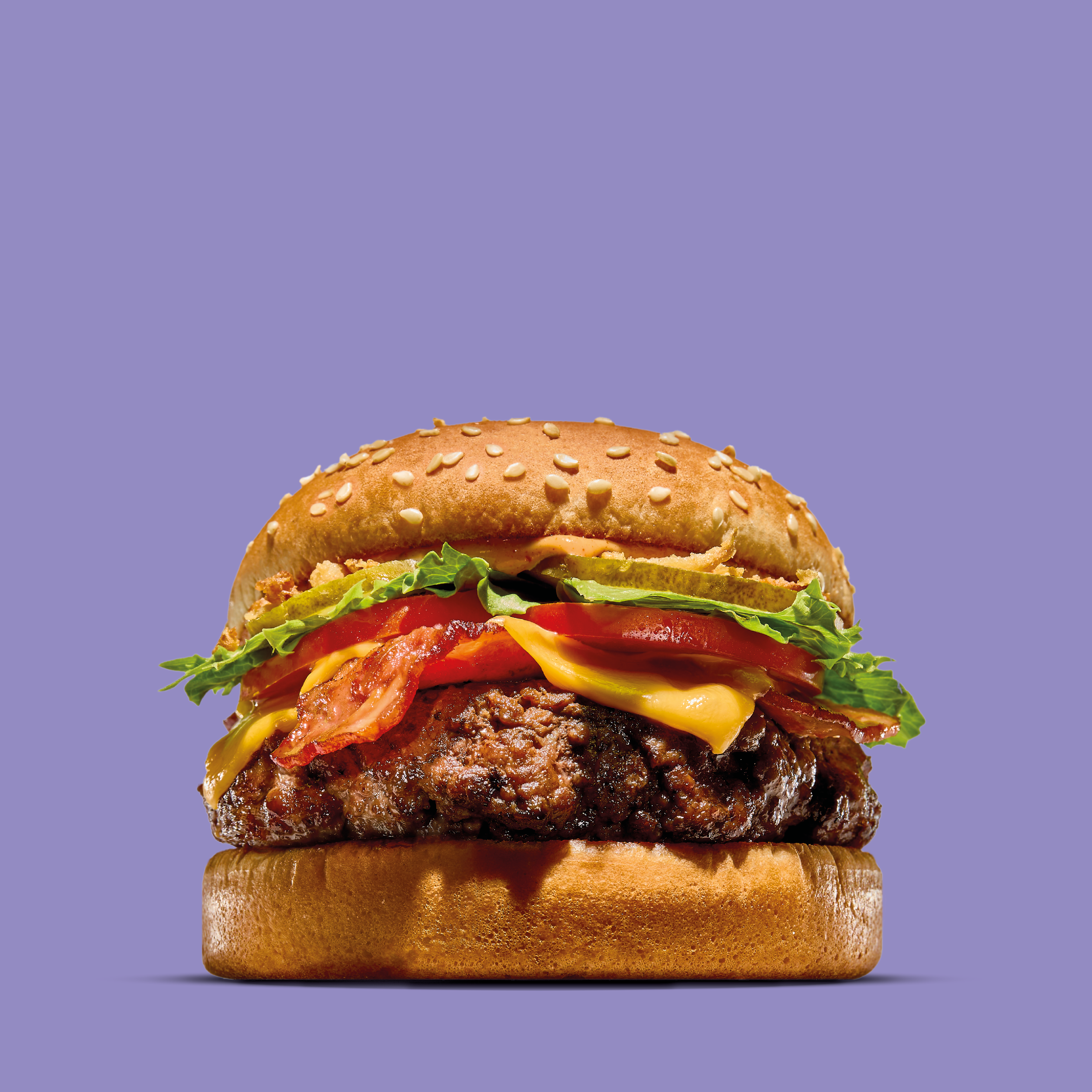 HS 133 Hkiki Food beelden 2000x2000px paars5.png