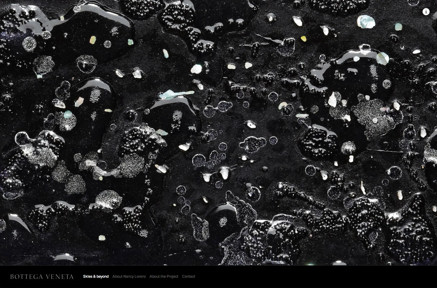 skies-and-beyond-bottega-veneta-website-01.jpg
