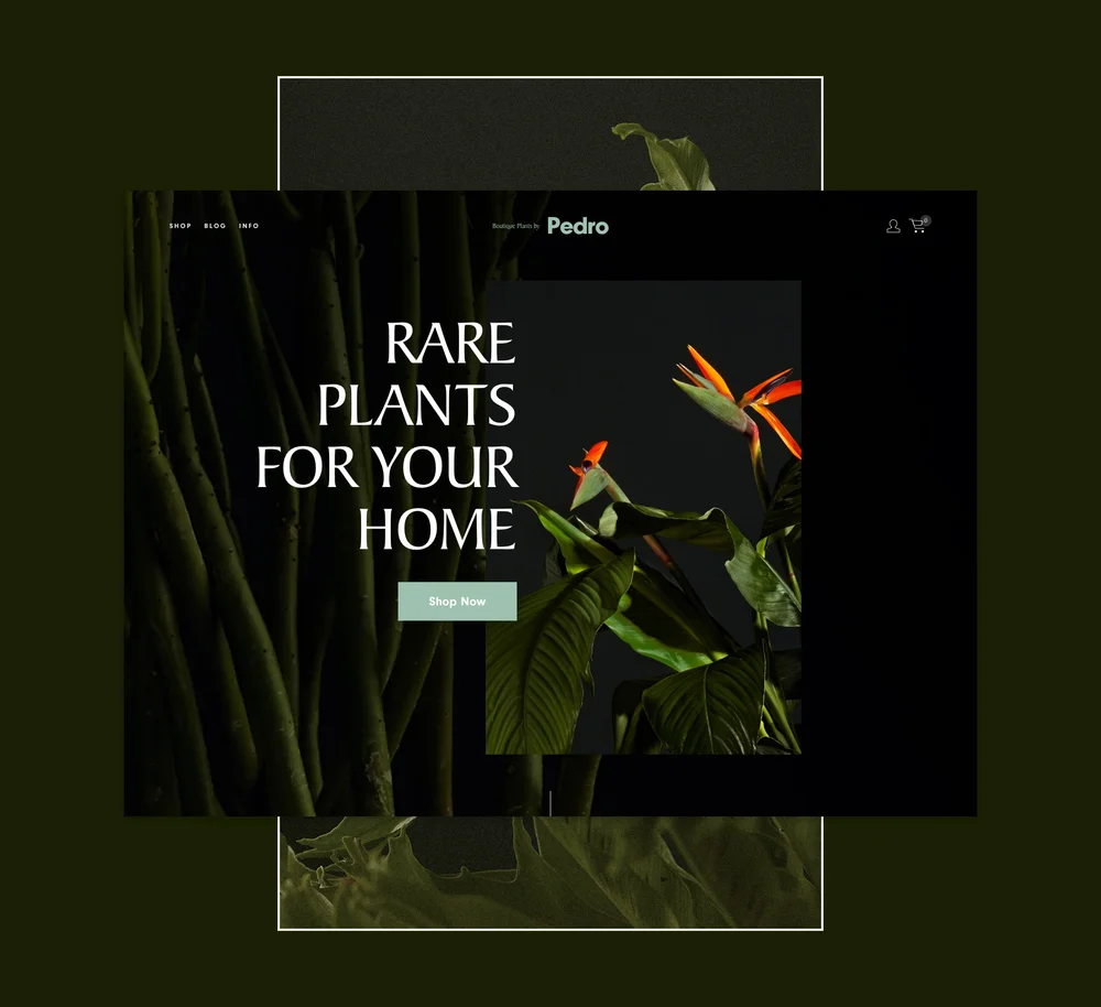 WinterTemplateLaunch_Blog_20171127_Pedro.jpg
