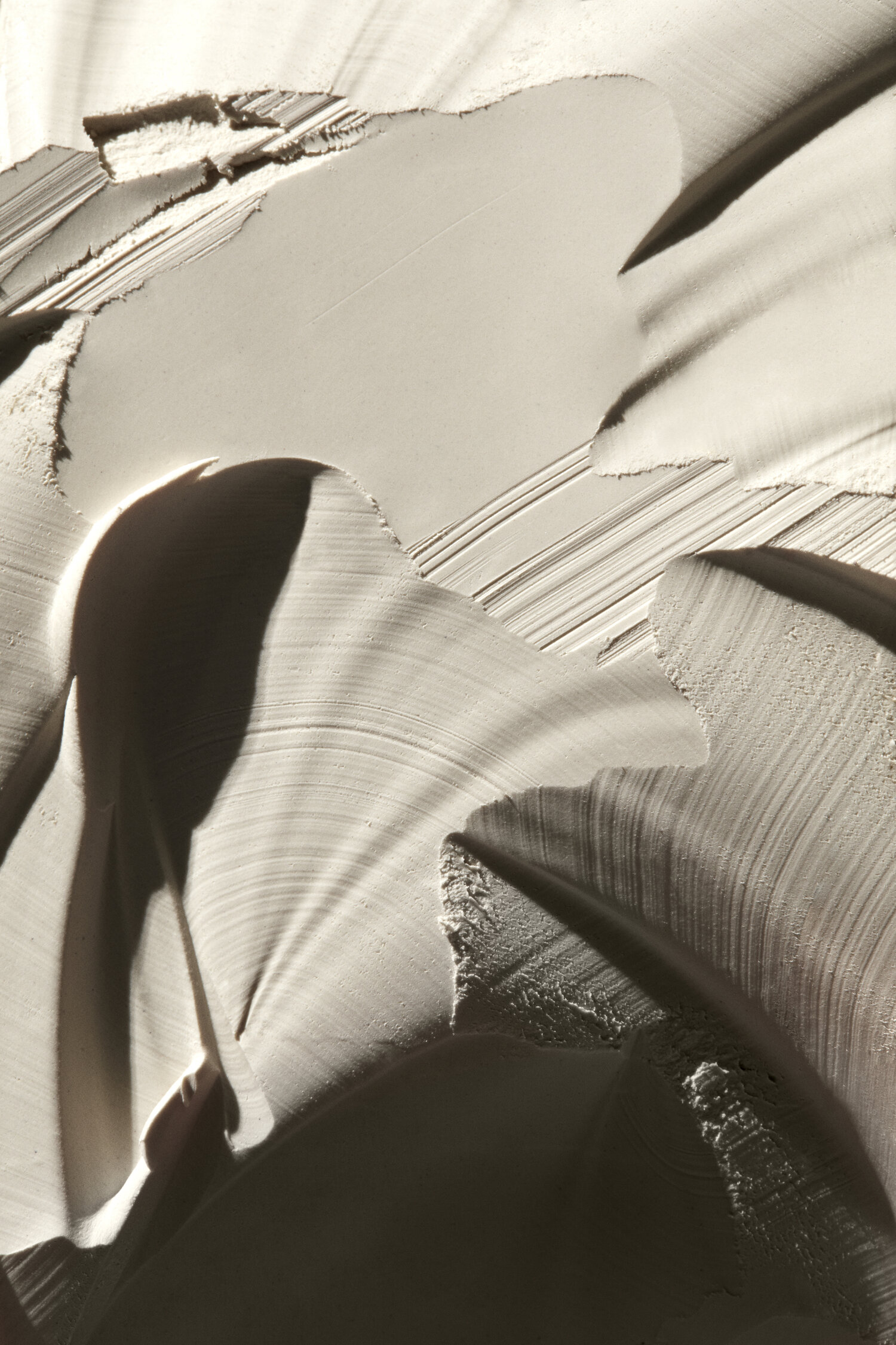 Squarespace Survey Reveals Gen Z Find Digital Life More Important