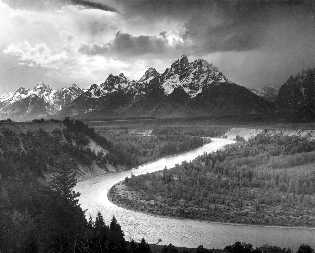 4309792778_75b236730a_b.jpg
