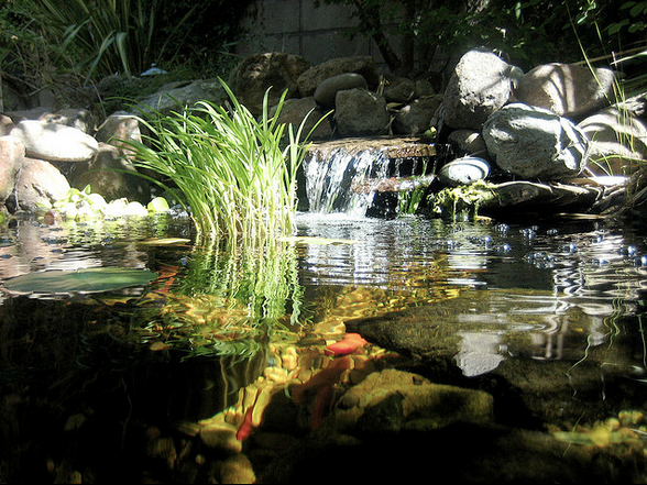 Waterfalls act as a natural form of aeration in the pond.
