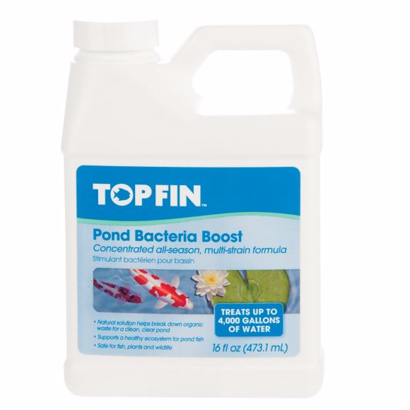 Pond Bacteria Boost