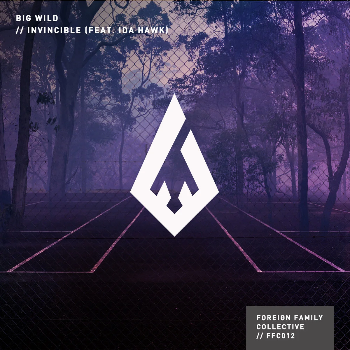 Big Wild Track: "Empty Room (feat. Yuna)" Album: Invincible EP Links Official Site Bandcamp Facebook Twitter Instagram