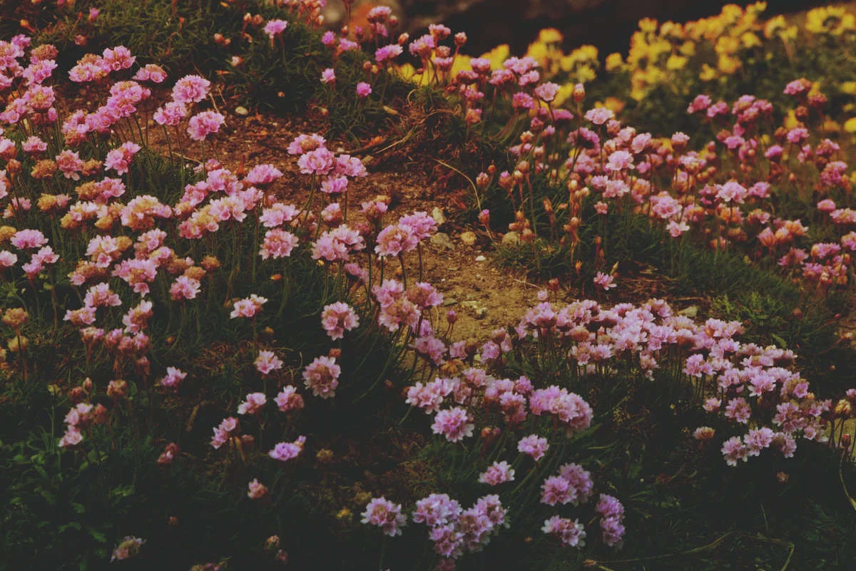Seneca B Track: "Aquarian" LINKS: Bandcamp Soundcloud