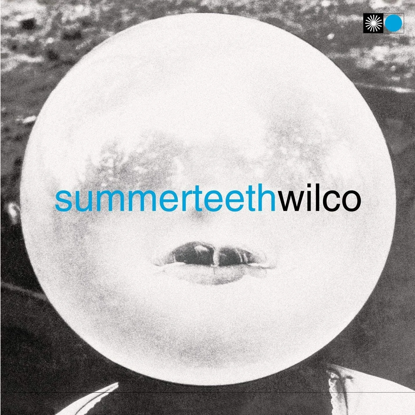 Summerteeth.jpg
