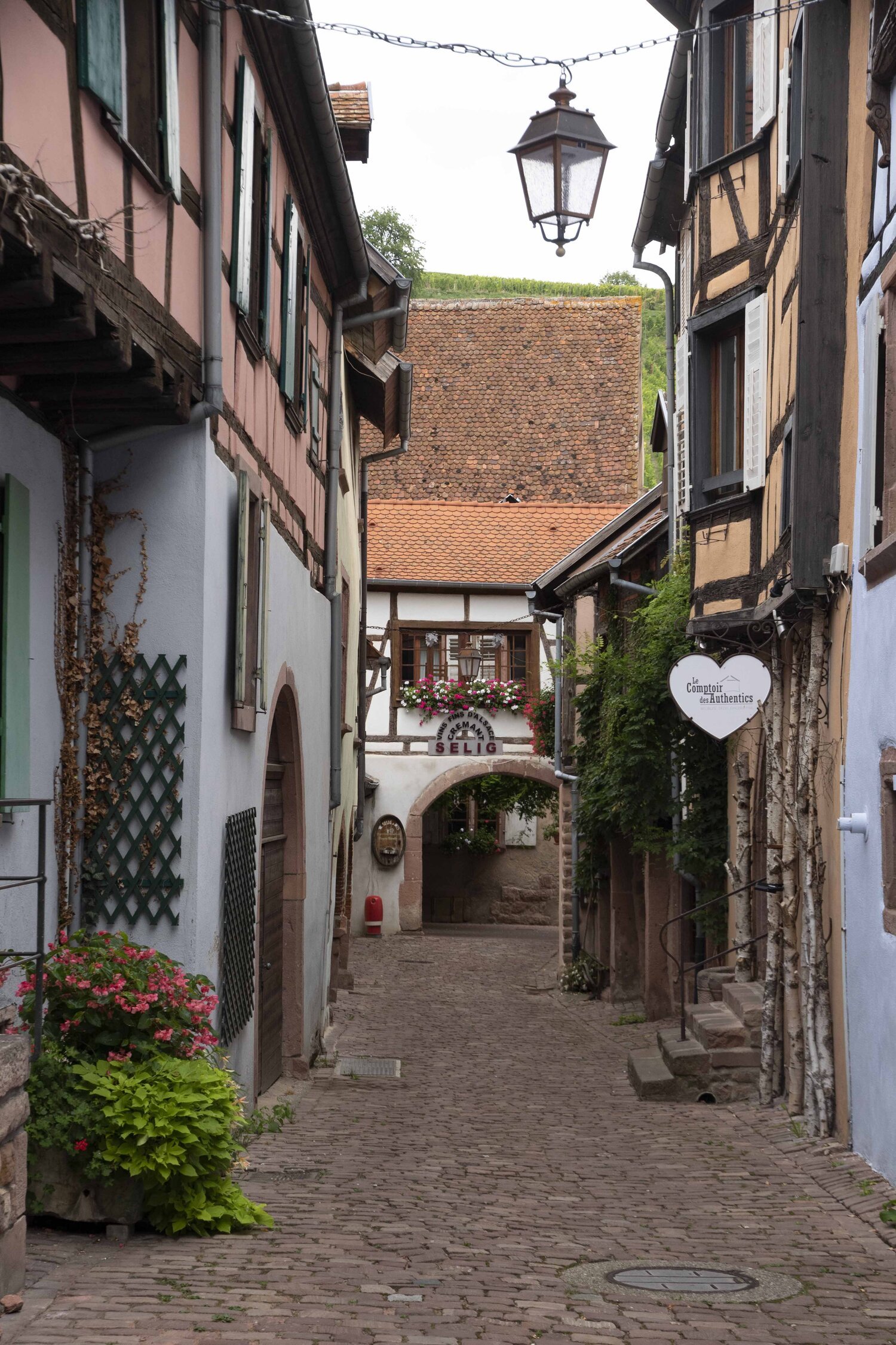 Riquewihr, Alsace