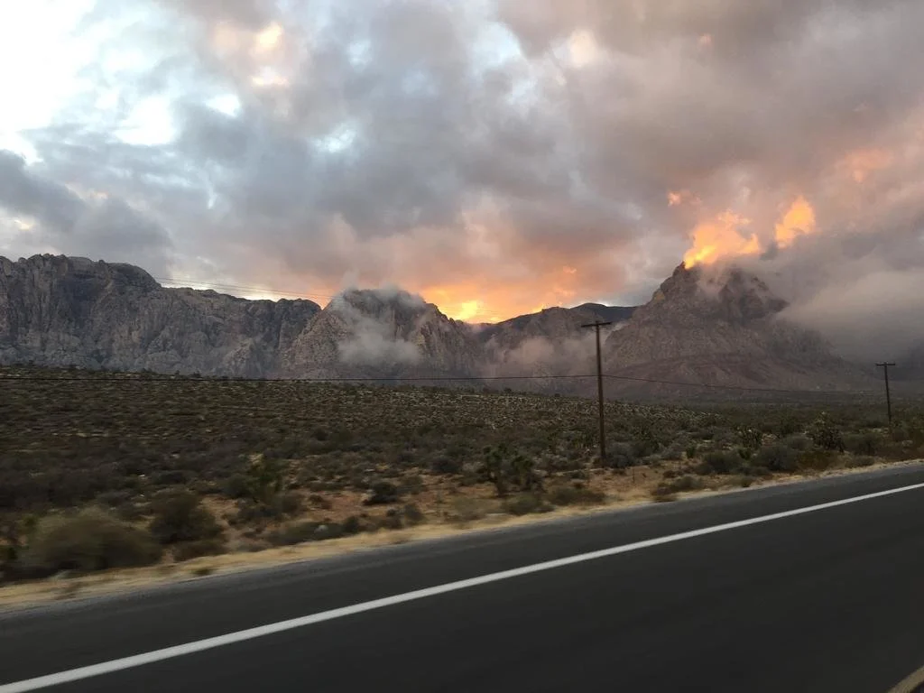 Photo by Maya of the atypically heavy fog covering everything.