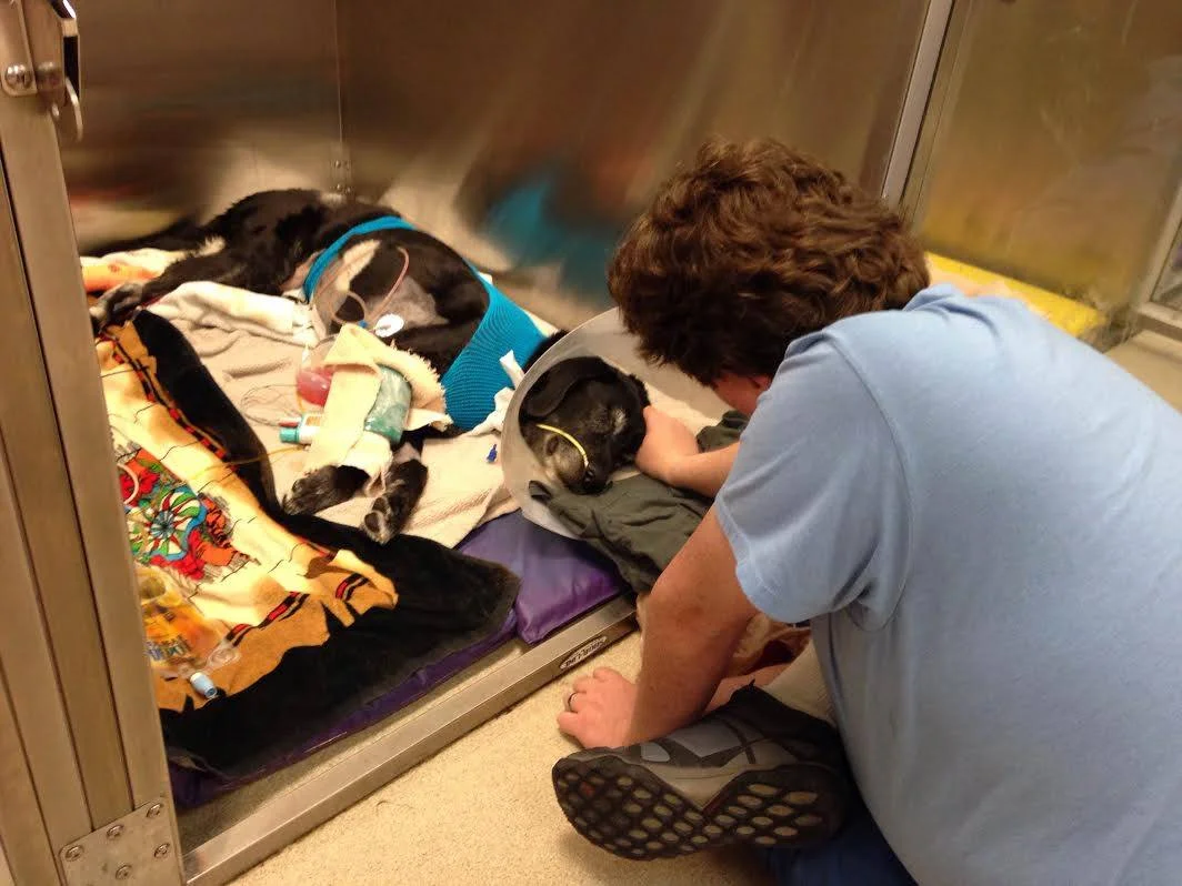 I told him he was a good boy and that I loved him. But even until the end, I still believed he would be okay.