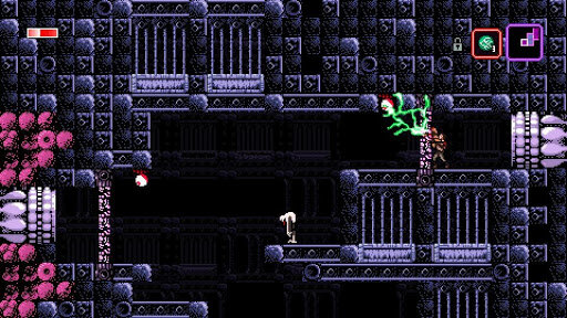 randomizer4.jpg